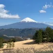 sukeの画像
