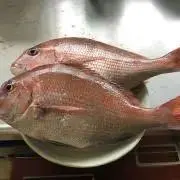 ツナ缶の画像