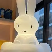 suuの画像