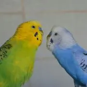 にきち