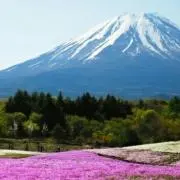 あきら。