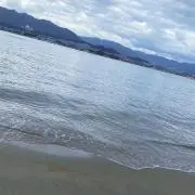 ゆゆの画像