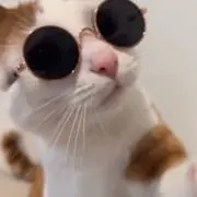 ある
