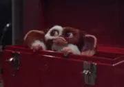 ギズモの画像