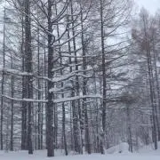 ケンチ