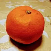 みかんの画像