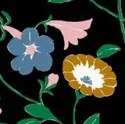 きょん⭐︎※プロフ必読お願いします。の画像