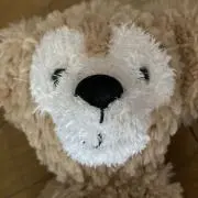 ミントの画像