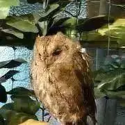 ずー(プロフ確認)の画像