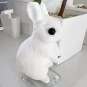 cocotto天然石 おまとめ割りしますの画像