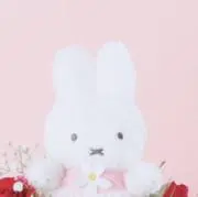 まろんの画像