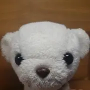 rikonaの画像