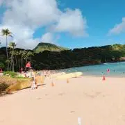 たかさお