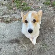 まん丸ぽて