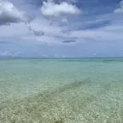 優香の画像