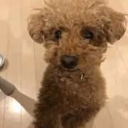 なもの画像