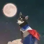 miho⚠️プロフ必読の画像