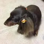 きな