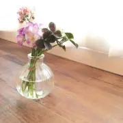 みん＊の画像