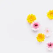 みー断捨離開始！の画像