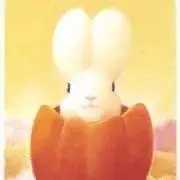 momoの画像