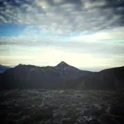 Shoyuの画像
