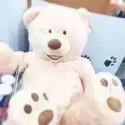 Kの画像