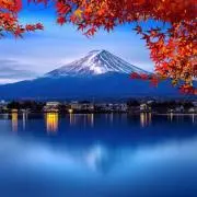 【まとめ割引いたします】の画像