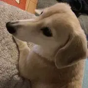ＫＨの画像