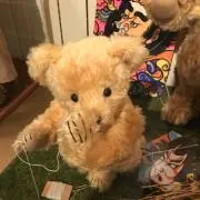 ちーの画像