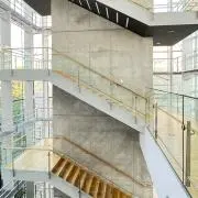 BD