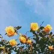 mizu.zuzuzuの画像