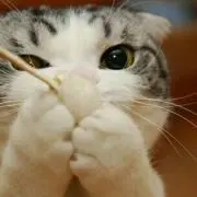 ひろ