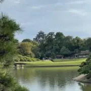 MAMIの画像