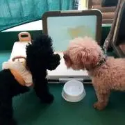 m＠プロフ必読★水着大幅セール中の画像