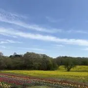 yプロフ必読の画像