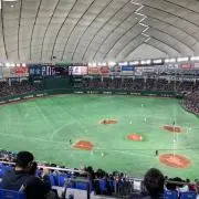 キャロット