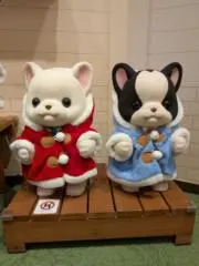 ジューシィの画像