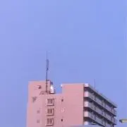 めあり【ファッション系一部お値下げ中】の画像