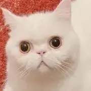 economyの画像