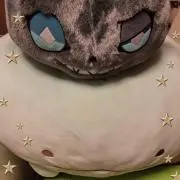 まゆまゆの画像
