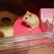 みちかる