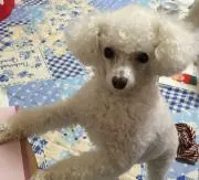 けいちゃんの画像