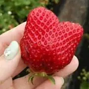 ひろの画像