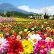 ぼうし★値下げ申請はコメントでの画像