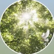 みゅうの画像