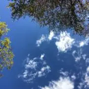 SO.の画像