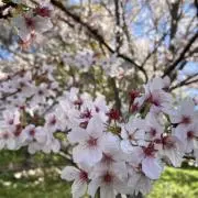 モコ⭐︎モコ
