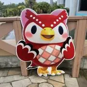 めぐの画像