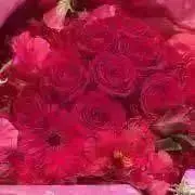 ☆セール☆次回6/11.13.14発送